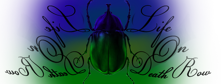 scarab_6